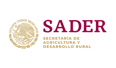 sader
